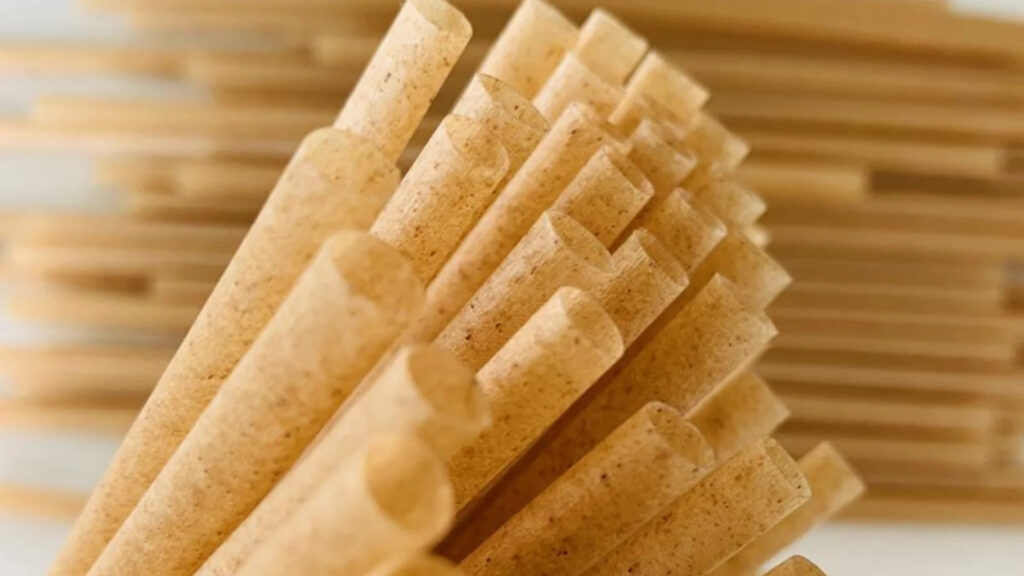 sugarcane-straws